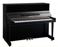 Yamaha U2G