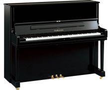 Yamaha U1G